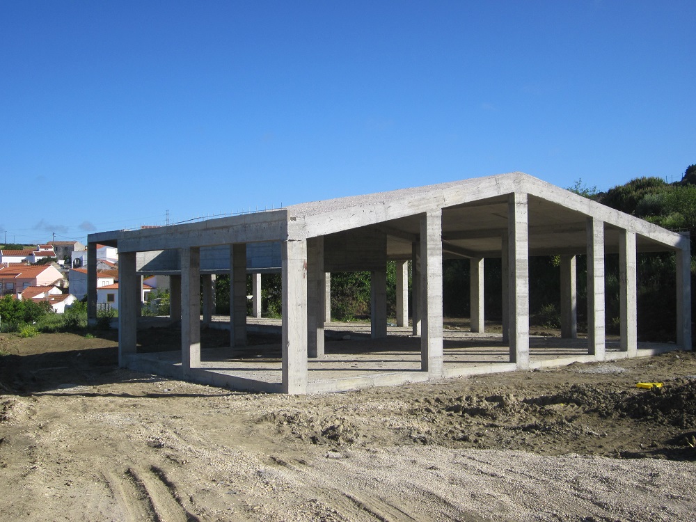 Project Name